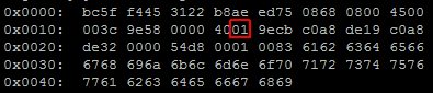 ip-header-protocol-id