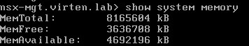 nsx-manager-show-system-memory